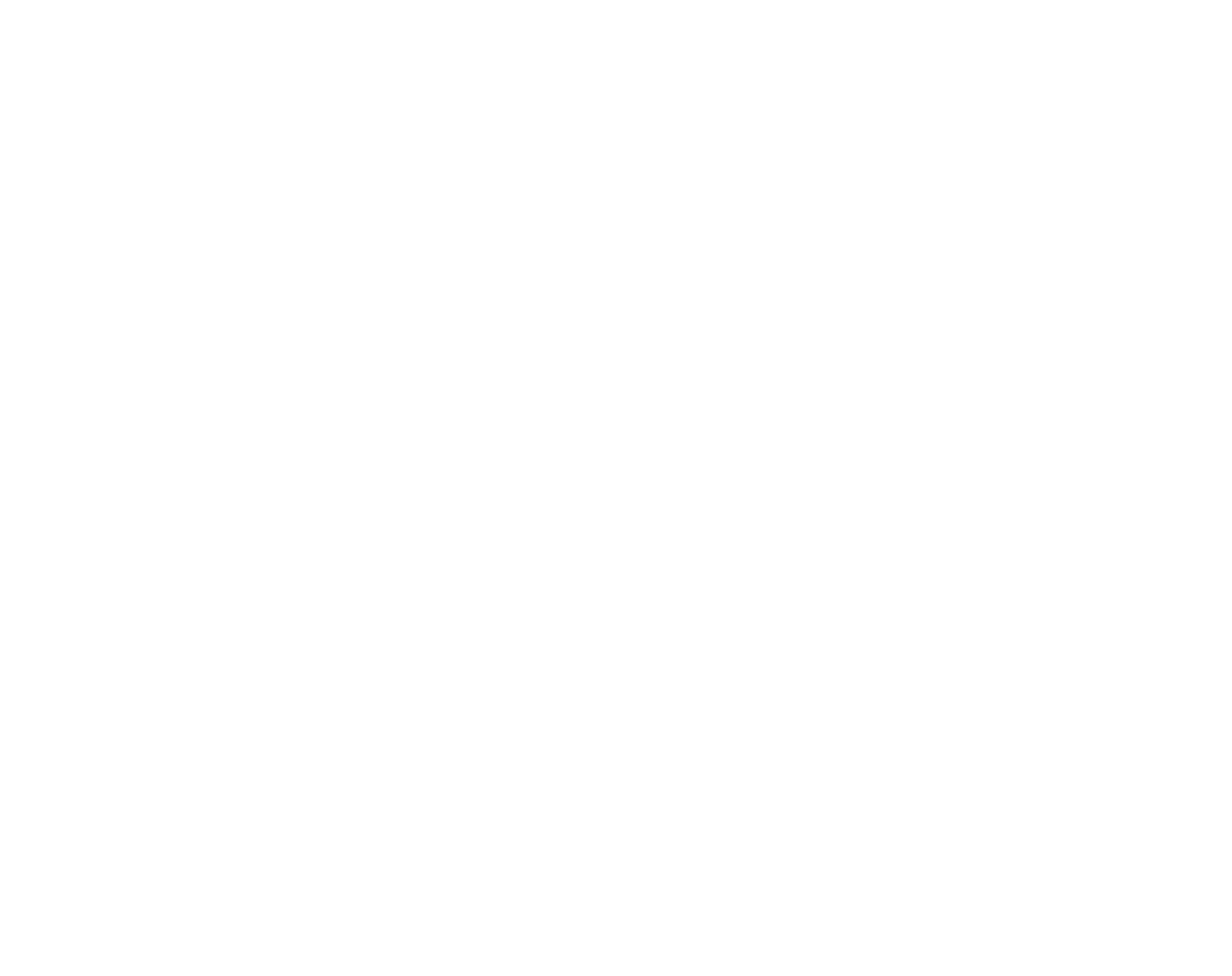 NEW PARTNER HR